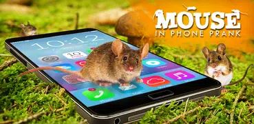 Mouse In Phone Prank