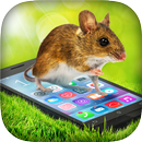 Mouse In Phone Prank APK