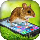 Mouse In Phone Prank aplikacja
