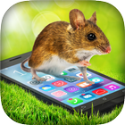 Mouse In Phone Prank آئیکن