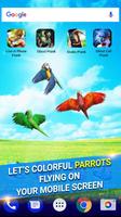 Parrot in Phone Prank Affiche