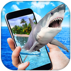 Shark in Phone icône