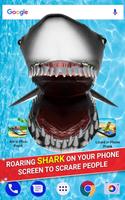 Shark in Phone capture d'écran 3