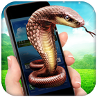 Snake In Phone Prank icon