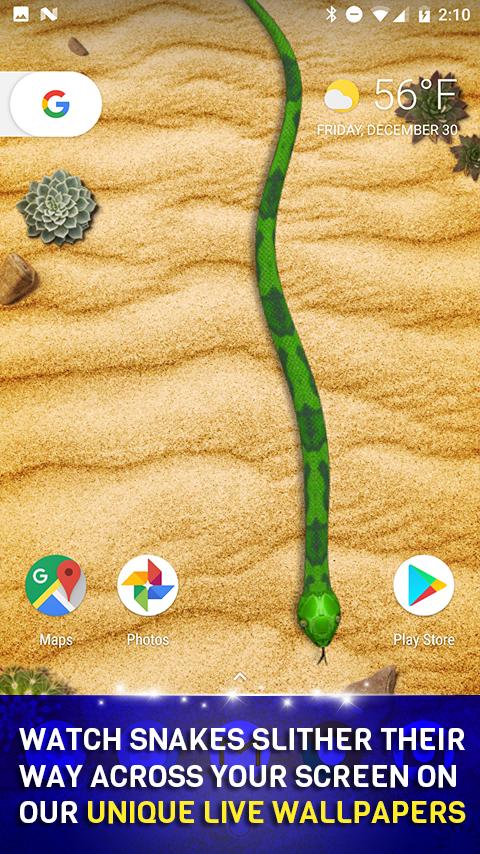Snake In Phone Prank APK  for Android – Download Snake In Phone Prank  APK Latest Version from 