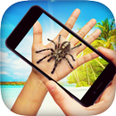 Spider Prank APK