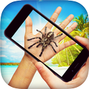 Spider Prank aplikacja