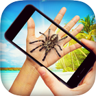 Spider Prank 图标