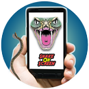 Snake on Screen Prank HD APK