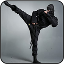 Kumpulan Video Teknik Ninjutshu APK