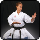 Video Teknik Karate Terbaru icône