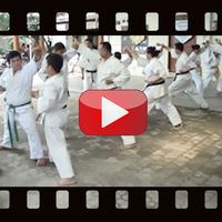 Video Teknik Karate Terbaru capture d'écran 1