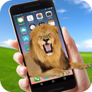 Lion On Screen : Lion On Mobile Prank APK