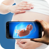 Ultrasound Scanner icono