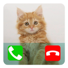 Talking Cat Calling Prank آئیکن