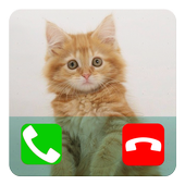 Talking Cat Calling Prank icon