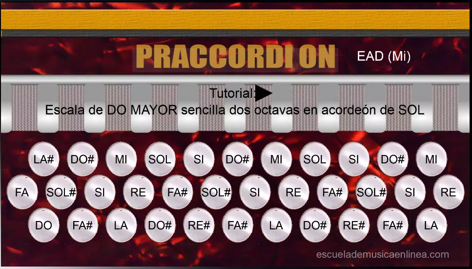 Praccordion APK for Android Download