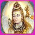Satta king 2