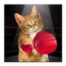 Boxing Cat APK