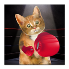 Boxing Cat icône