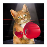 Boxing Cat
