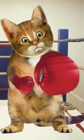 Boxing Cat Affiche