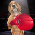 Boxing Dog Live Wallpaper icône