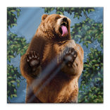 Bear Licks Live Wallpaper