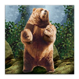 Dancing Bear Live Wallpaper ikona
