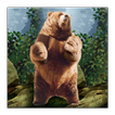 Dancing Bear Live Wallpaper