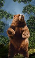 Dancing Bear Live Wallpaper Affiche