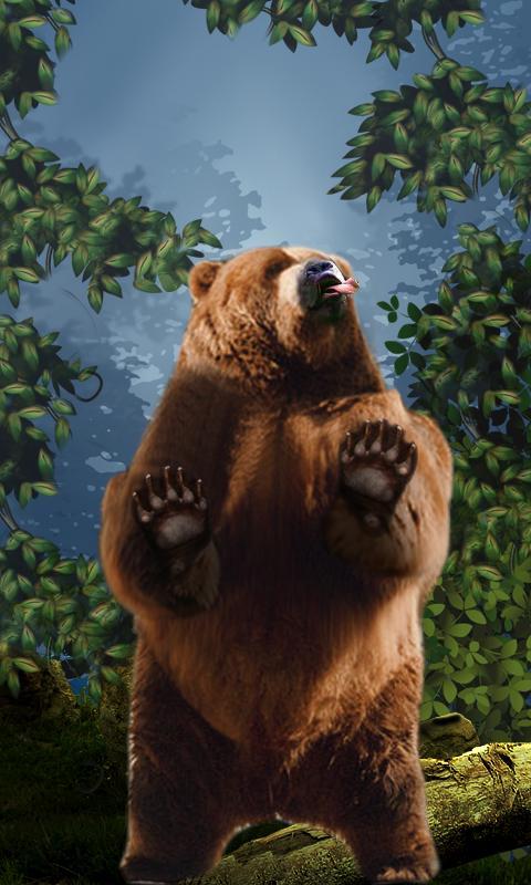 Dance bear com. Танцующие медведи приложении. Dancing Bear #4. Live Bear. Актрисы Dancing Bear 15.