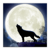 Howling Wolf Live Wallpaper APK