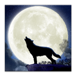 Howling Wolf Live Wallpaper