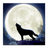 Howling Wolf Live Wallpaper icône