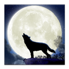 Howling Wolf Live Wallpaper icon