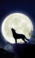 Howling Wolf Live Wallpaper capture d'écran 1