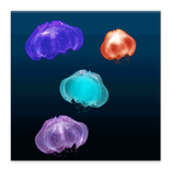Jellyfish Live Wallpaper