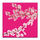 Sakura Live Wallpaper icono