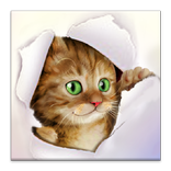 Silly Cat Live Wallpaper