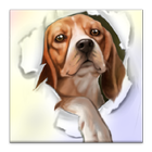 Silly Dog Live Wallpaper icon