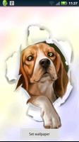 Silly Dog Live Wallpaper captura de pantalla 1