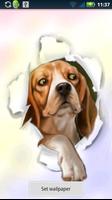 Silly Dog Live Wallpaper captura de pantalla 2