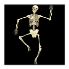 Skeleton Live Wallpaper icône