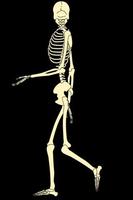 برنامه‌نما Skeleton Live Wallpaper عکس از صفحه