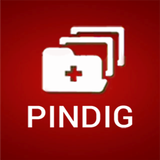 PINDIG icon