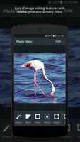 Social Post Generator for FB & insta скриншот 2