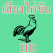 HD audio canto del gallo