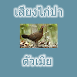 Wild boar icon