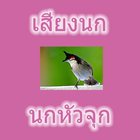 Burung kepala burung Thailand ikon